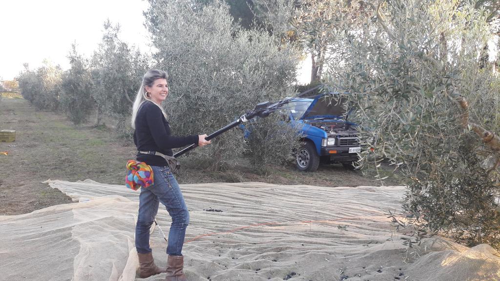 Azienda Agrituristica Il Poggetto Delle Spighe Collesalvetti Extérieur photo